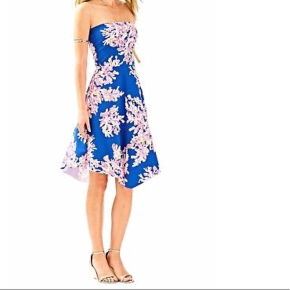 Lilly Pulitzer Dresses & Skirts - NWOT Lilly Pulitzer Loleta dress